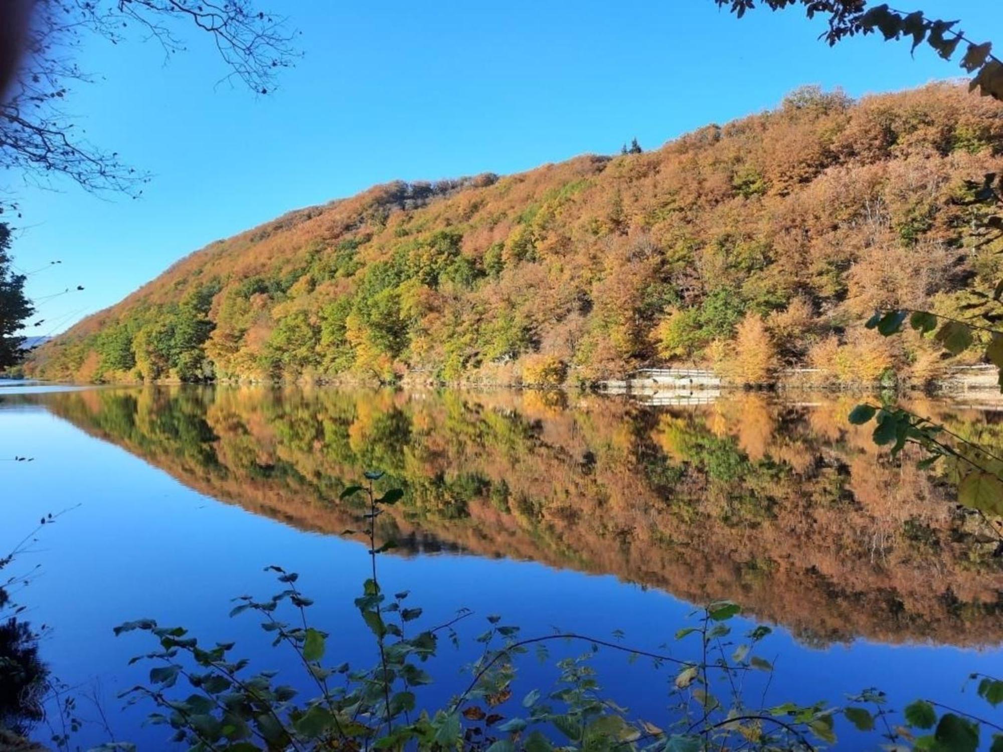 Ferienhaus &#039Freund Am See&#039 1 Heimbach Ngoại thất bức ảnh